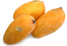 mangoes-01