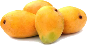 mangoes-02
